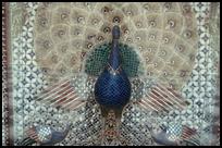 Udaipur, City Palace, Peacock